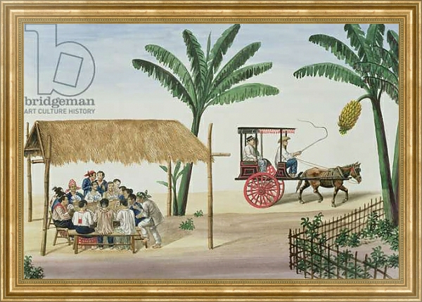Постер A Game of Panguingui, from 'The Flebus Album of Views In and Around Manila', c.1845 с типом исполнения На холсте в раме в багетной раме NA033.1.051