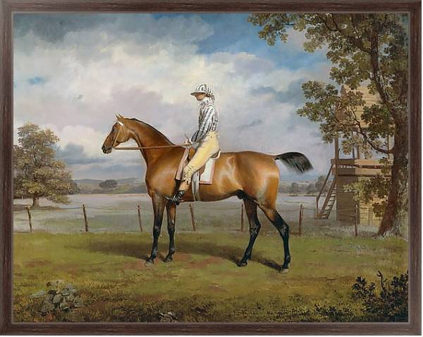 Постер Portrait of a Racehorse Possibly Disguise with Jockey Up с типом исполнения На холсте в раме в багетной раме 221-02