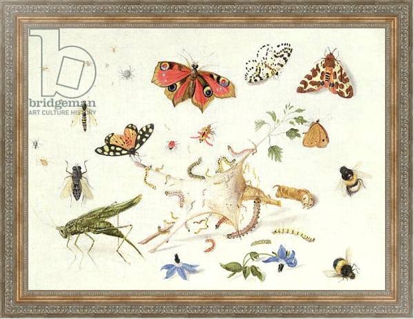 Постер Study of Insects and Flowers с типом исполнения На холсте в раме в багетной раме 484.M48.310