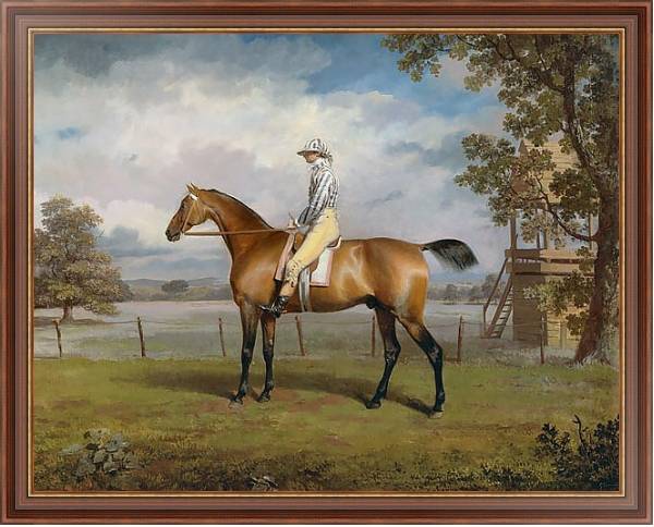 Постер Portrait of a Racehorse Possibly Disguise with Jockey Up с типом исполнения На холсте в раме в багетной раме 35-M719P-83