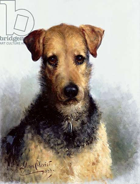 Постер Wire Fox Terrier, 1933 с типом исполнения На холсте без рамы