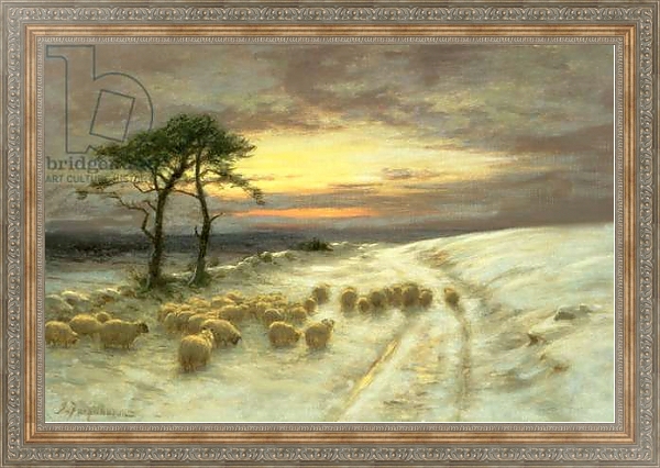 Постер Sheep in the Snow 1 с типом исполнения На холсте в раме в багетной раме 484.M48.310