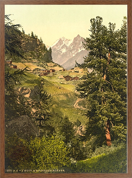 Постер Швейцария. Долина в Альпах с типом исполнения На холсте в раме в багетной раме 1727.4310