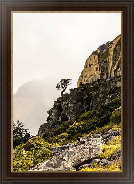 Постер Сосна на крутом обрыве, национальный парк Торрес-дель-Пейн, Чили с типом исполнения На холсте в раме в багетной раме 1.023.151