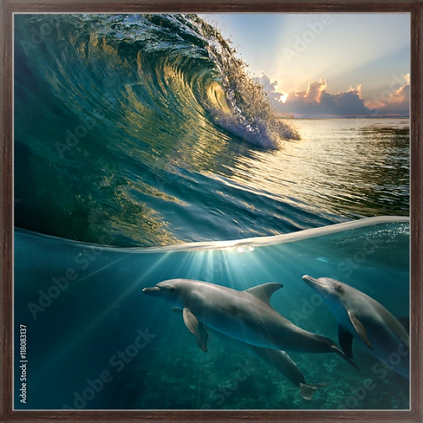Постер Стайка дельфинов под волной с типом исполнения На холсте в раме в багетной раме 221-02