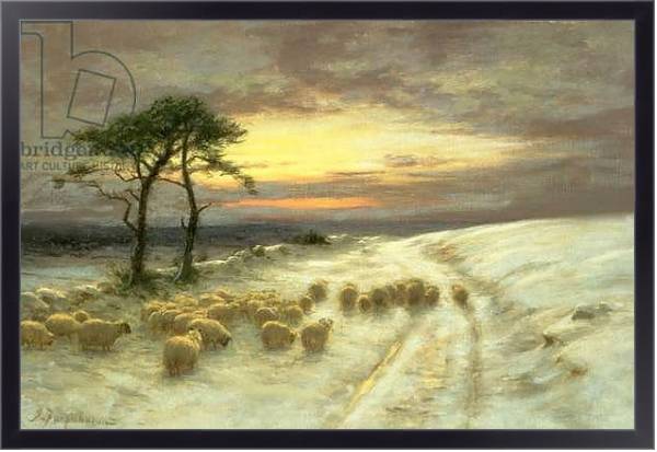 Постер Sheep in the Snow 1 с типом исполнения На холсте в раме в багетной раме 221-01