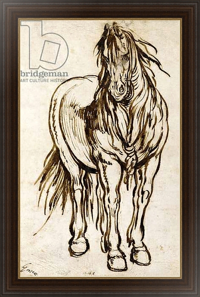 Постер Study of a Horse, с типом исполнения На холсте в раме в багетной раме 1.023.151