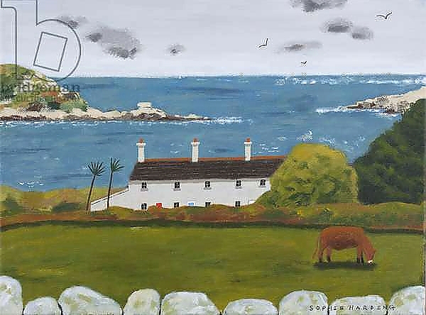 Постер Terraced Houses and Cow с типом исполнения На холсте без рамы