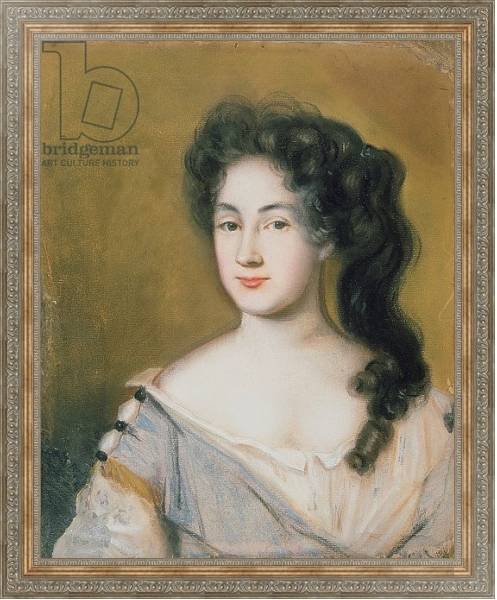 Постер Portrait of a Lady 2 с типом исполнения На холсте в раме в багетной раме 484.M48.310