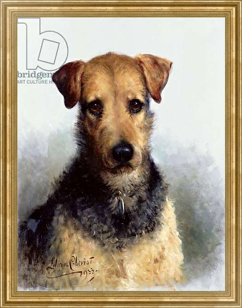 Постер Wire Fox Terrier, 1933 с типом исполнения На холсте в раме в багетной раме NA033.1.051