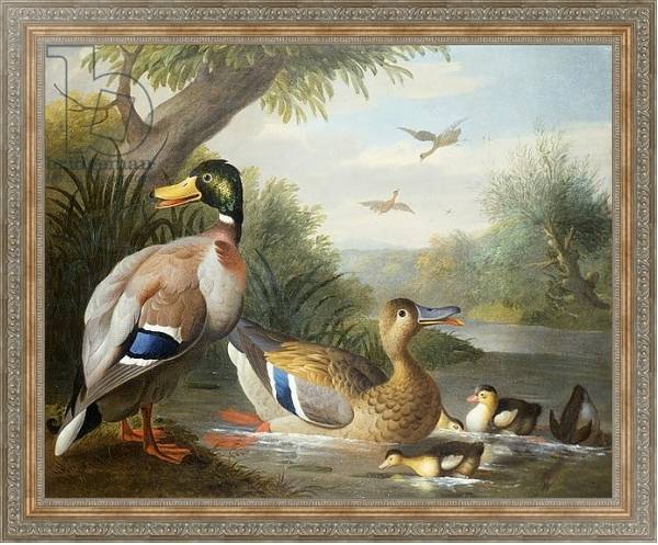 Постер Ducks in a River Landscape с типом исполнения На холсте в раме в багетной раме 484.M48.310