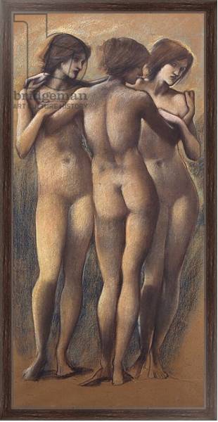Постер The Three Graces, c.1885 с типом исполнения На холсте в раме в багетной раме 221-02