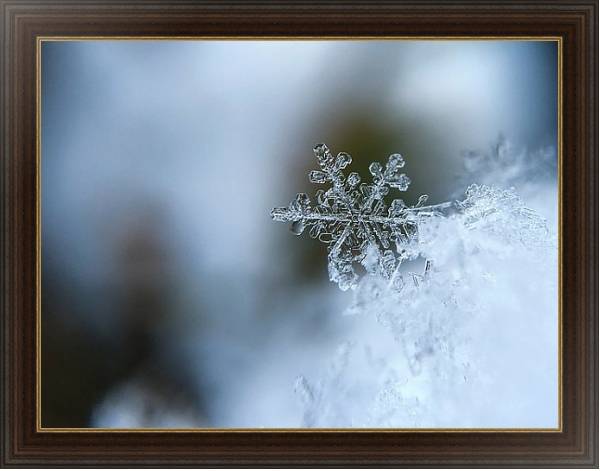 Постер Кристаллы снежинки с типом исполнения На холсте в раме в багетной раме 1.023.151