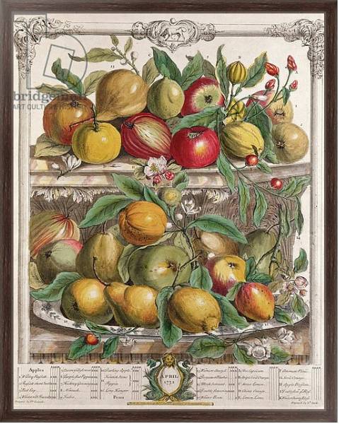 Постер April, from 'Twelve Months of Fruits', by Robert Furber engraved by J. Clark, 1732 с типом исполнения На холсте в раме в багетной раме 221-02