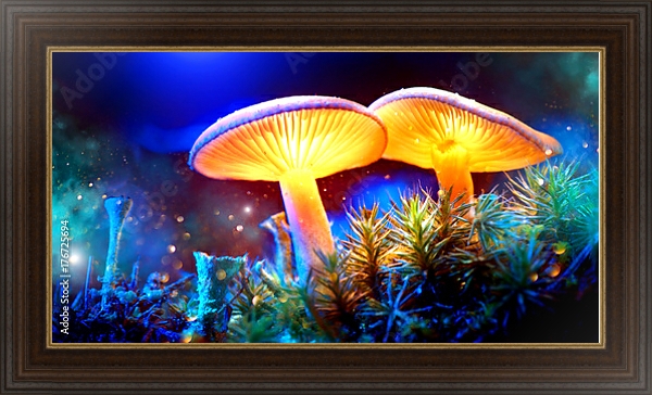 Постер Два светящихся гриба в загадочном темном лесу с типом исполнения На холсте в раме в багетной раме 1.023.151