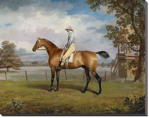 Постер Portrait of a Racehorse Possibly Disguise with Jockey Up с типом исполнения На холсте без рамы