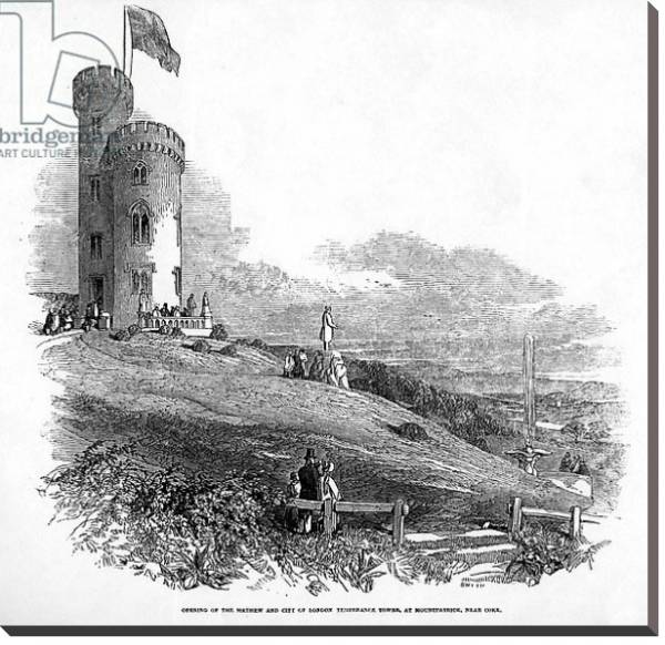Постер Opening of the Mathew and City of London Temperance Tower, at Mount Patrick, near Cork, 1846 с типом исполнения На холсте без рамы