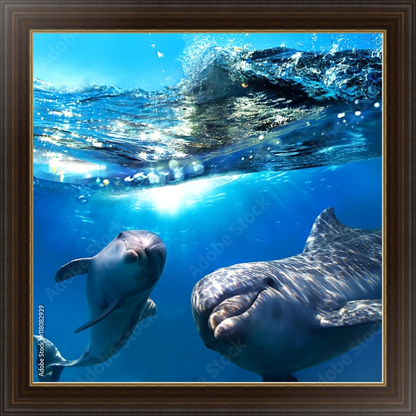 Постер Два дельфина под водой с типом исполнения На холсте в раме в багетной раме 1.023.151