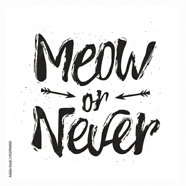 Постер Meow or never с типом исполнения На холсте в раме в багетной раме 221-03