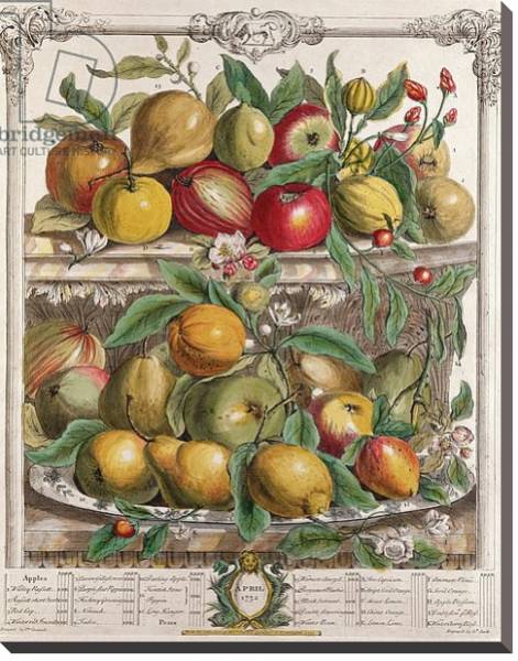 Постер April, from 'Twelve Months of Fruits', by Robert Furber engraved by J. Clark, 1732 с типом исполнения На холсте без рамы