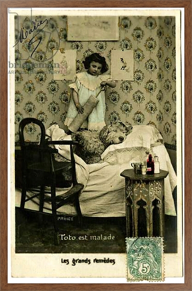 Постер Postcard: Toto is sick, great remedies, Prince с типом исполнения На холсте в раме в багетной раме 1727.4310