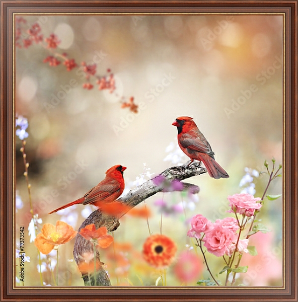 Постер Красные кардиналы на ветке в цветах с типом исполнения На холсте в раме в багетной раме 35-M719P-83