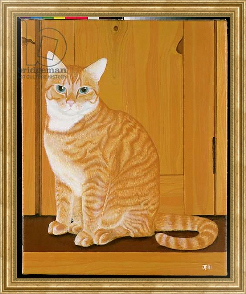 Постер Marmalade cat by a door с типом исполнения На холсте в раме в багетной раме NA033.1.051