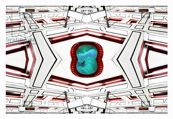 Постер Ceiling portal sky bird, 2014 с типом исполнения На холсте в раме в багетной раме 221-03