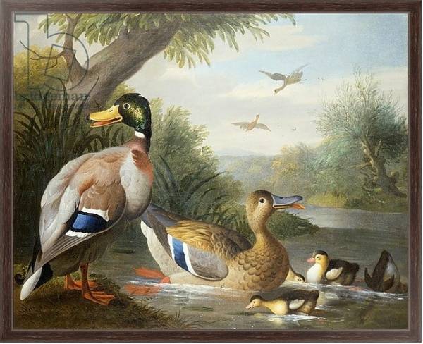 Постер Ducks in a River Landscape с типом исполнения На холсте в раме в багетной раме 221-02