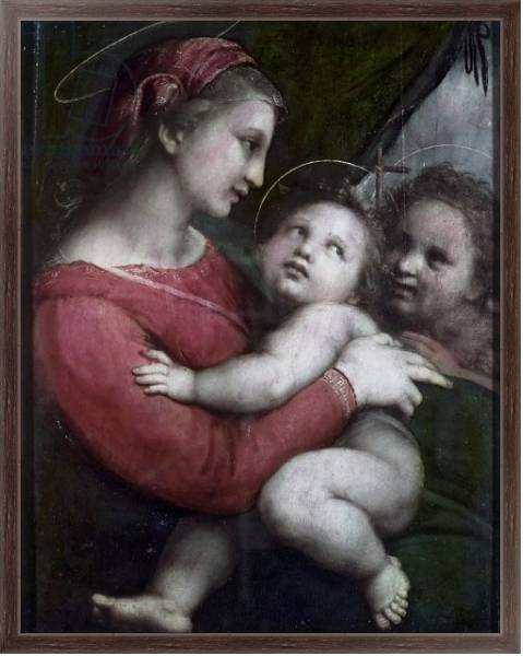 Постер Madonna della Tenda, c.1512 с типом исполнения На холсте в раме в багетной раме 221-02