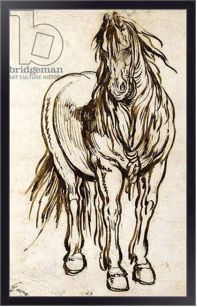 Постер Study of a Horse, с типом исполнения На холсте в раме в багетной раме 221-01