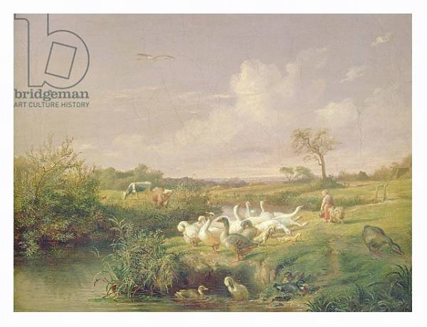 Постер Geese Grazing, 1854 с типом исполнения На холсте в раме в багетной раме 221-03
