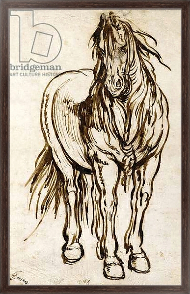 Постер Study of a Horse, с типом исполнения На холсте в раме в багетной раме 221-02
