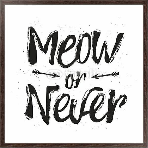 Постер Meow or never с типом исполнения На холсте в раме в багетной раме 221-02