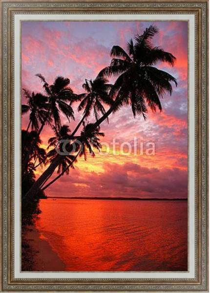 Постер Силуэт пальмовых деревьев на пляже на закате, острова Офу, Тонга с типом исполнения На холсте в раме в багетной раме 595.M52.330