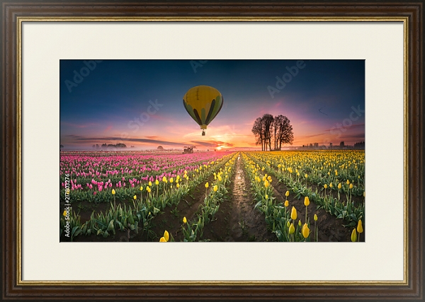Постер Воздушные шары, парящие над полем тюльпанов с типом исполнения Под стеклом в багетной раме 1.023.036