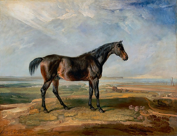 Постер Racehorse Standing in a Coastal Landscape an Estuary Beyond 1820 с типом исполнения На холсте без рамы