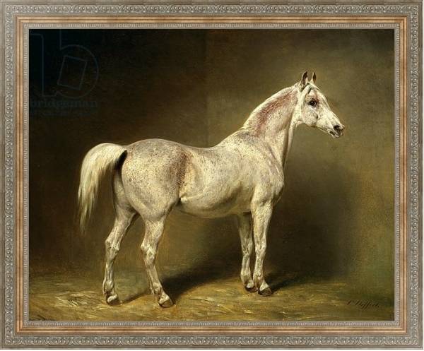 Постер 'Beatrice', the white arab saddlehorse of Helmuth Graf von Moltke, 1855 с типом исполнения На холсте в раме в багетной раме 484.M48.310