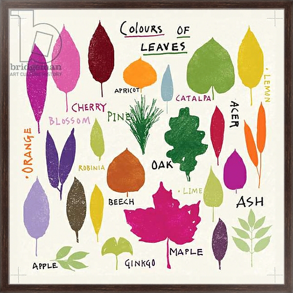 Постер Colours of Leaves с типом исполнения На холсте в раме в багетной раме 221-02