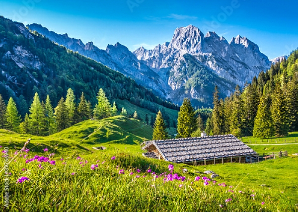 Постер Швейцария. Идиллический альпийский пейзаж с типом исполнения На холсте без рамы