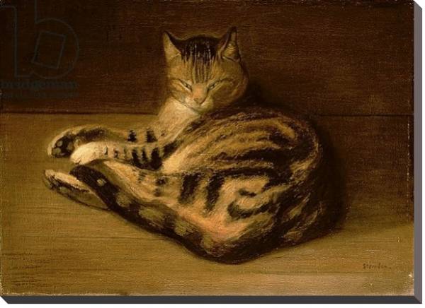 Постер Recumbent Cat, 1898 с типом исполнения На холсте без рамы