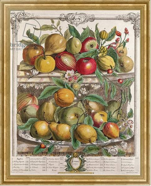 Постер April, from 'Twelve Months of Fruits', by Robert Furber engraved by J. Clark, 1732 с типом исполнения На холсте в раме в багетной раме NA033.1.051