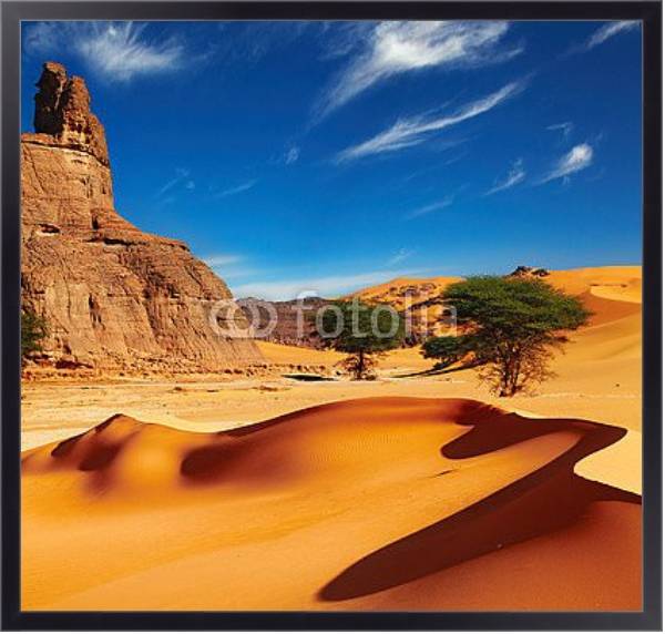 Постер Пустыня Сахара, Алжир с типом исполнения На холсте в раме в багетной раме 221-01