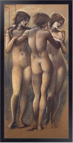 Постер The Three Graces, c.1885 с типом исполнения На холсте в раме в багетной раме 221-01