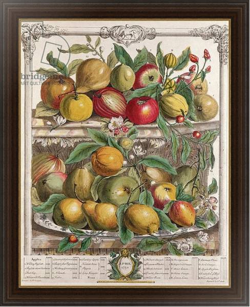 Постер April, from 'Twelve Months of Fruits', by Robert Furber engraved by J. Clark, 1732 с типом исполнения На холсте в раме в багетной раме 1.023.151