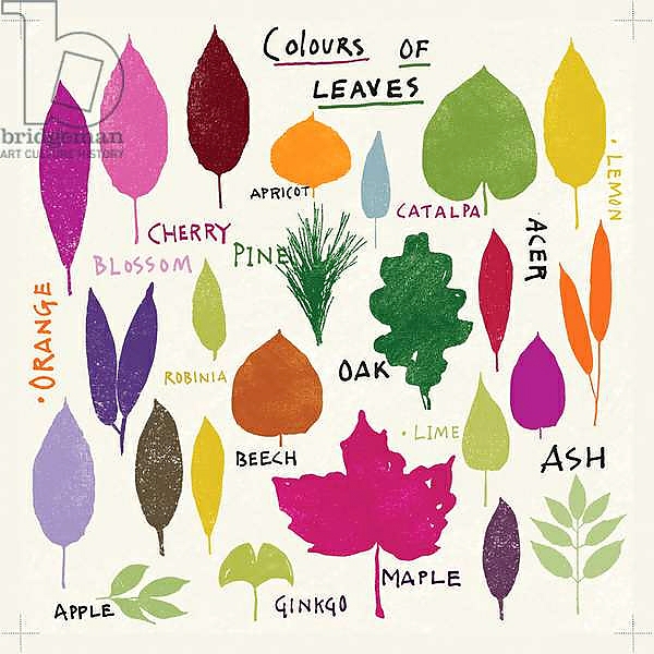 Постер Colours of Leaves с типом исполнения На холсте без рамы