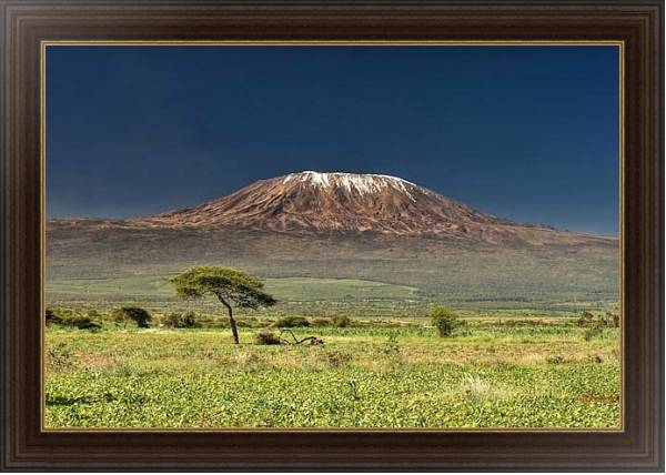 Постер Килиманджаро с типом исполнения На холсте в раме в багетной раме 1.023.151