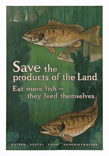 Постер Save the products of the land. Eat more fish — they feed themselves с типом исполнения На холсте в раме в багетной раме 221-03