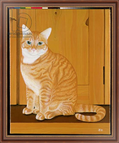 Постер Marmalade cat by a door с типом исполнения На холсте в раме в багетной раме 35-M719P-83