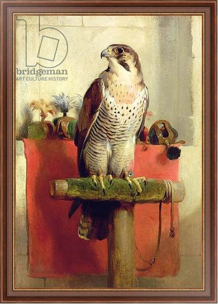 Постер Falcon, 1837 с типом исполнения На холсте в раме в багетной раме 35-M719P-83